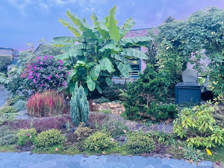 Prachtig Guesthouse Met Gratis Parkeren Масмехелен Екстериор снимка